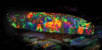 Virgin Rainbow opal