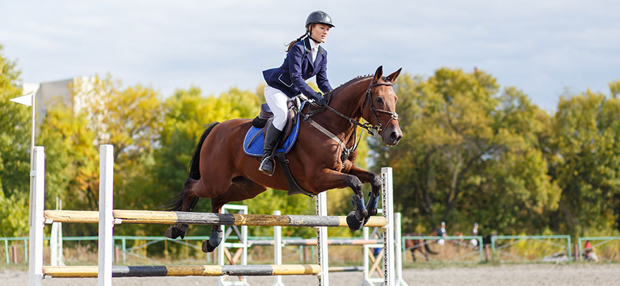 How to Make the Most of an Equestrian Opportunity and More of Your Questions for February