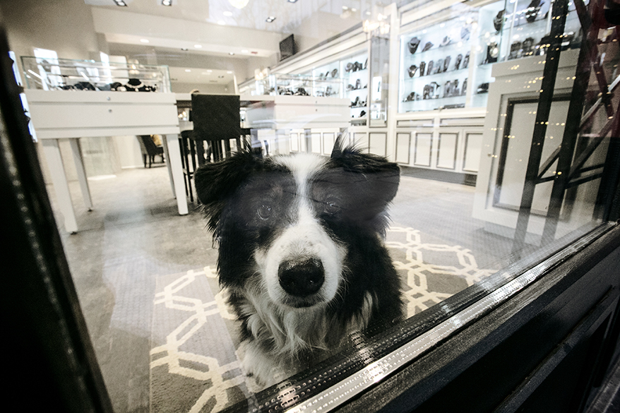 These Ridiculously Cute Store Greeters Break the Ice and Calm Shoppers’ Nerves