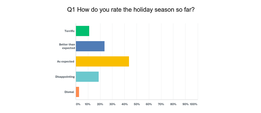 Holiday mini survey 3