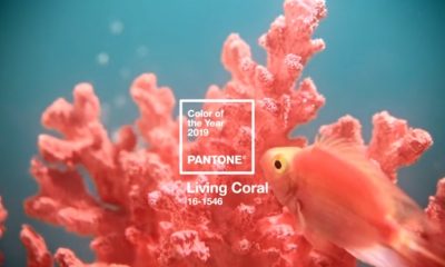 Pantone Reveals Color of the Year