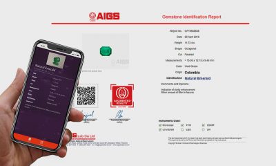 AIGS Adds 360-Degree Video Gem View to Reports