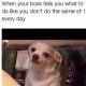 76 Boss Memes That Perfectly Capture Work Life [Updated]