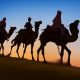 travelers-on-camels