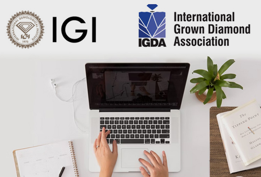 IGI eLearning to be a ‘Staple of IGDA Membership’