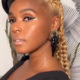 Judge The Jewels: Janelle Monáe Brings Her Home by Areeayl Earrings to Life