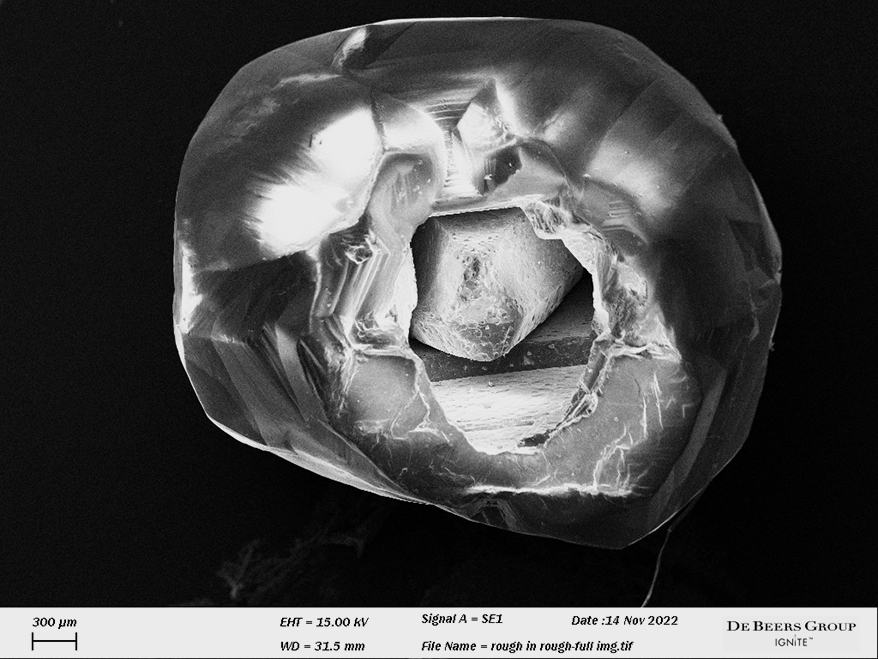 Etch features are visible on both the smaller diamond and the inner cavity of the host as shown in this scanning electron microscope (SEM) image. Image by Ivan Nikiforov.