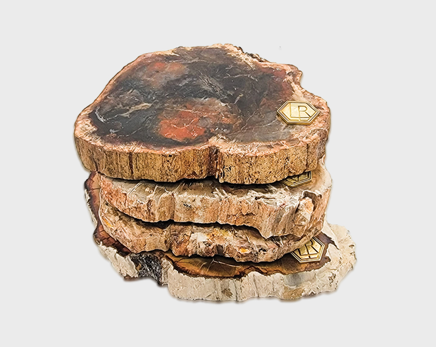 LuxeRox-Petrified-Wood-Coasters