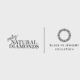 Natural Diamond Council and Black In Jewelry Coalition Join Forces