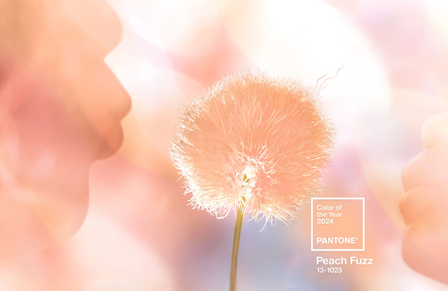 Just Peachy: Pantone Color of the Year 2024
