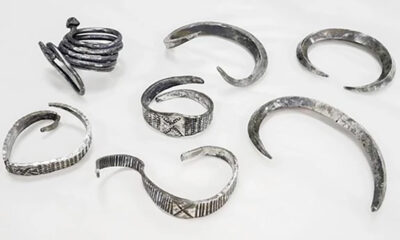 7 Viking-Age Bangles Unearthed by Student in Denmark