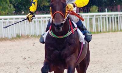 Mother’s Day, the Kentucky Derby, Lost Sock Day and More Fun Dates for May