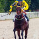 Mother’s Day, the Kentucky Derby, Lost Sock Day and More Fun Dates for May