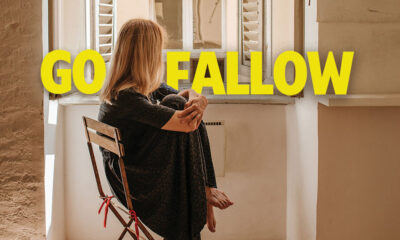 Use “Fallow Periods” to Benefit Your Business